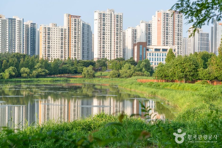 평택_배다리지 (5)