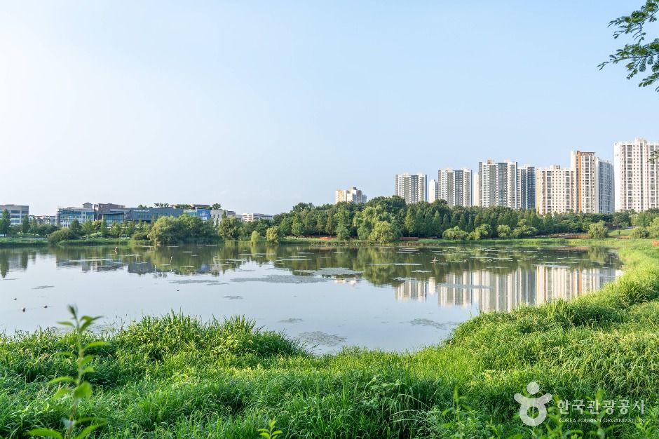 평택_배다리지 (2)