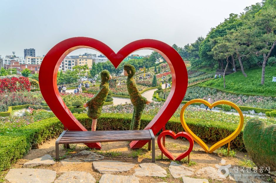 부천_백만송이장미원 (2)