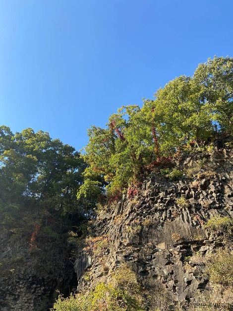 연천_백의리층(한탄강 유네스코 세계지질공원) (4)