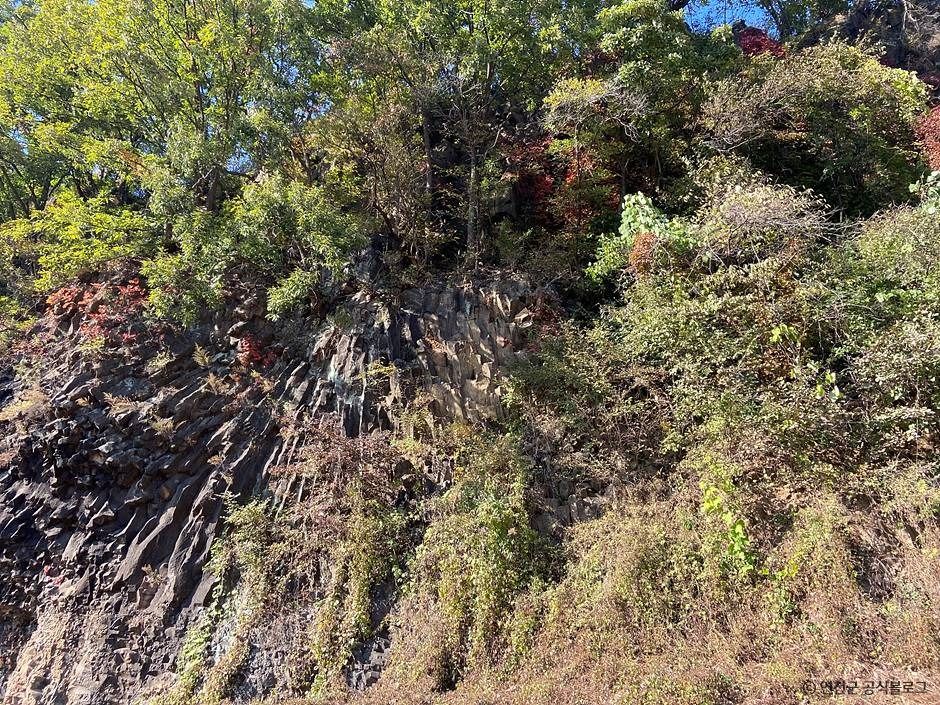 백의리층 (한탄강 유네스코 세계지질공원)