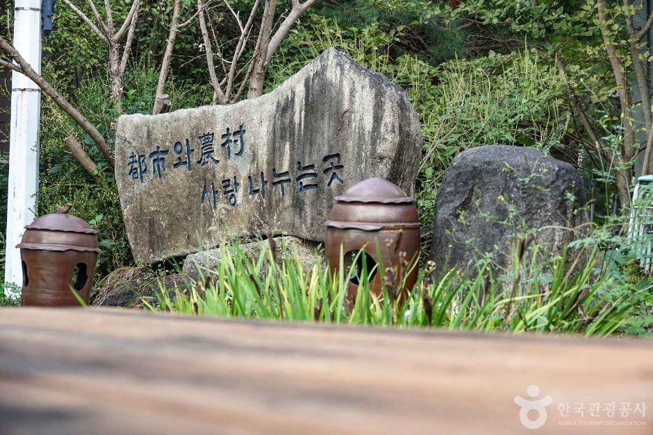 경기_가평_버섯구지마을 (7)