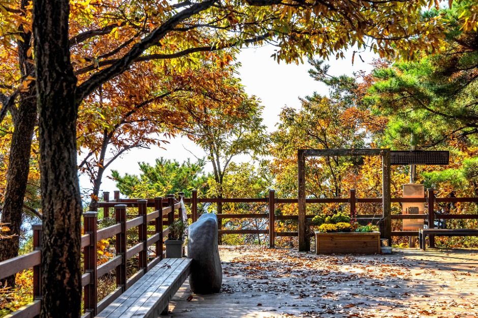 용인_법화산 (3)