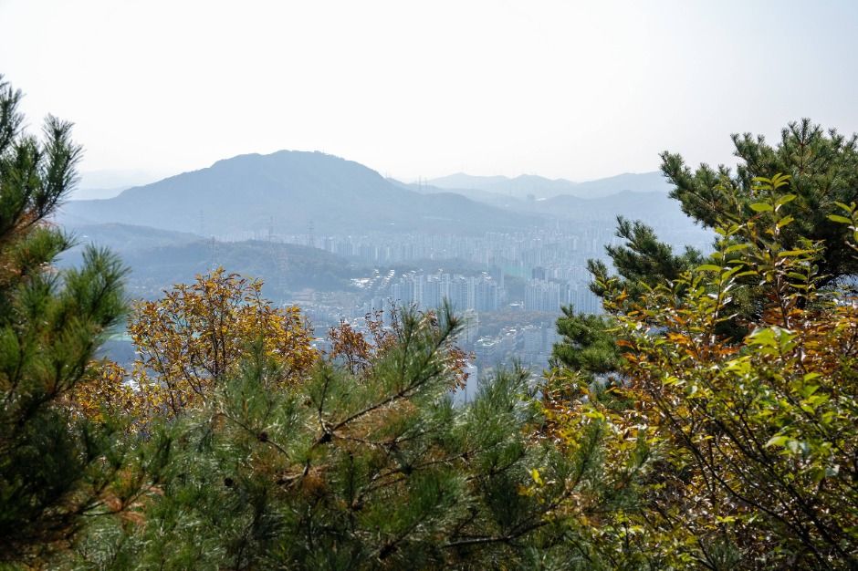 용인_법화산 (5)