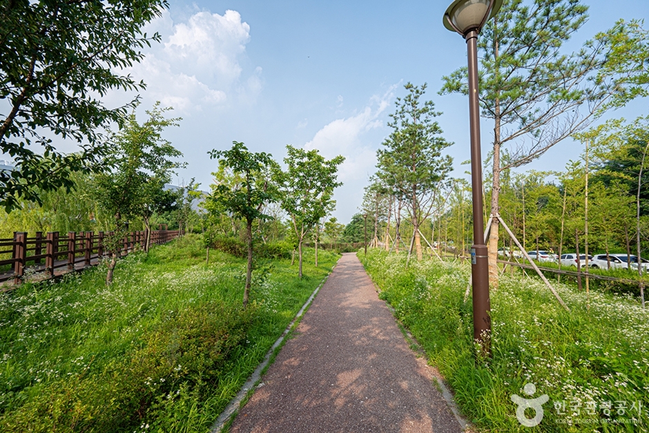 봉골근린공원 (12)