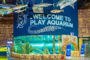 플레이 아쿠아리움 부천