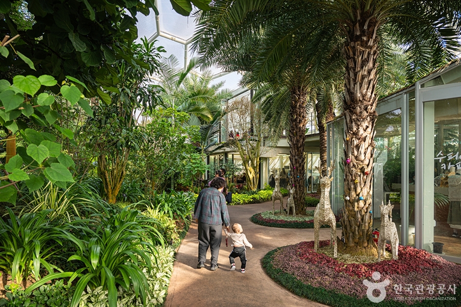 경기_부천_부천호수식물원 수피아_e (6)