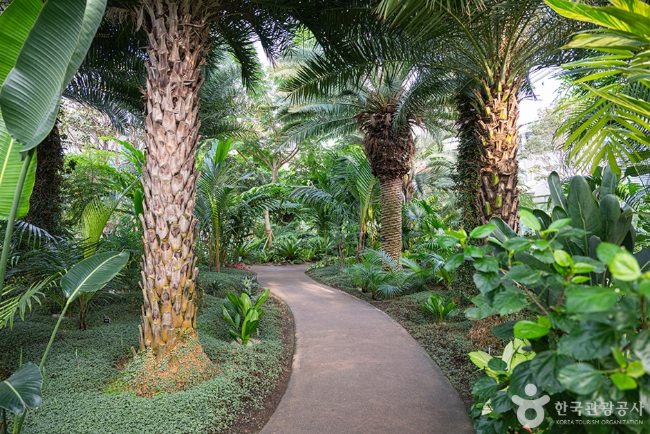 경기_부천_부천호수식물원 수피아_e (8)