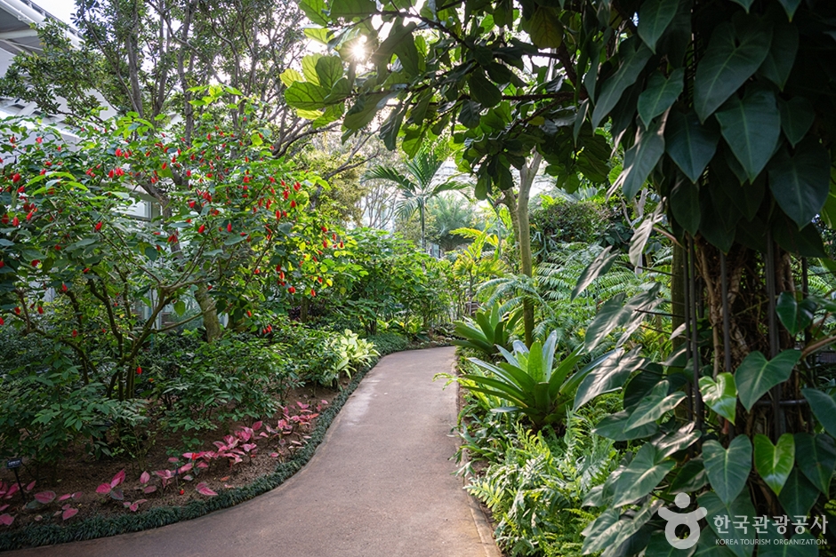 경기_부천_부천호수식물원 수피아_e (12)