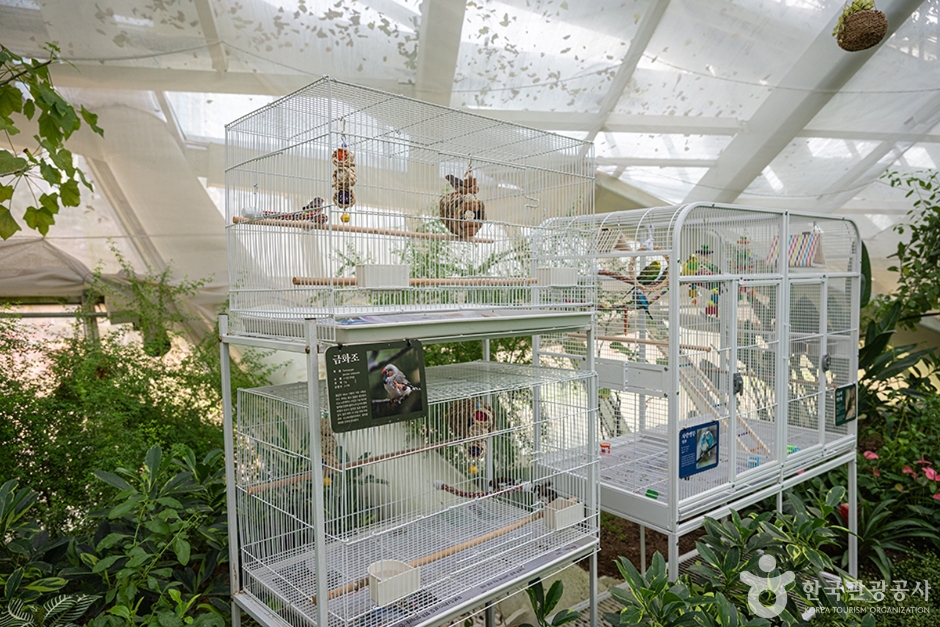 경기_부천_부천호수식물원 수피아_e (14)