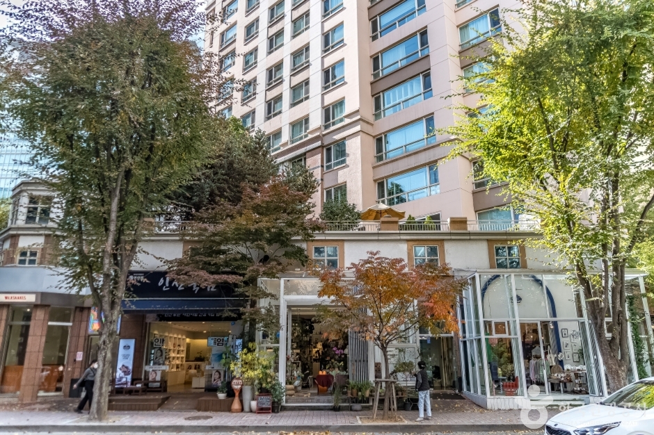 분당 정자동 카페거리 (1)