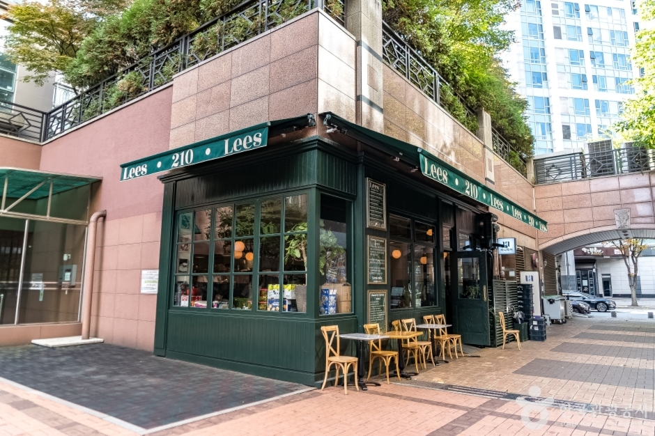 분당 정자동 카페거리 (11)