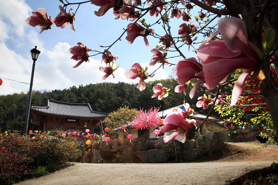 경기도_양평_불곡리미륵불미륵사_전경 (1)