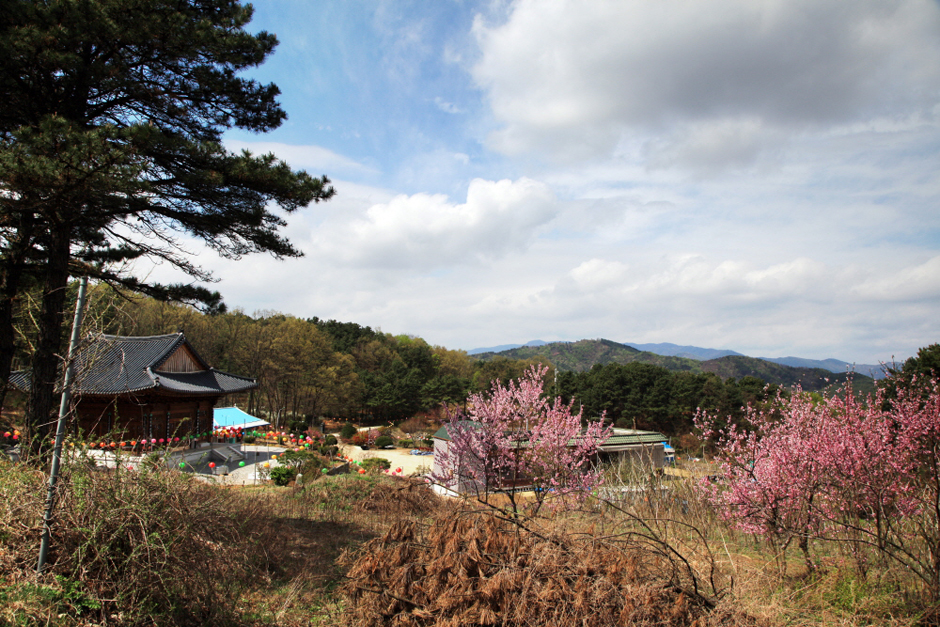 경기도_양평_불곡리미륵불미륵사_전경 (2)