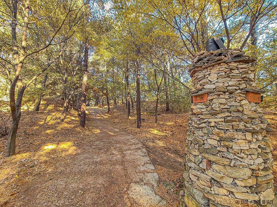 안성_비봉산 (4)