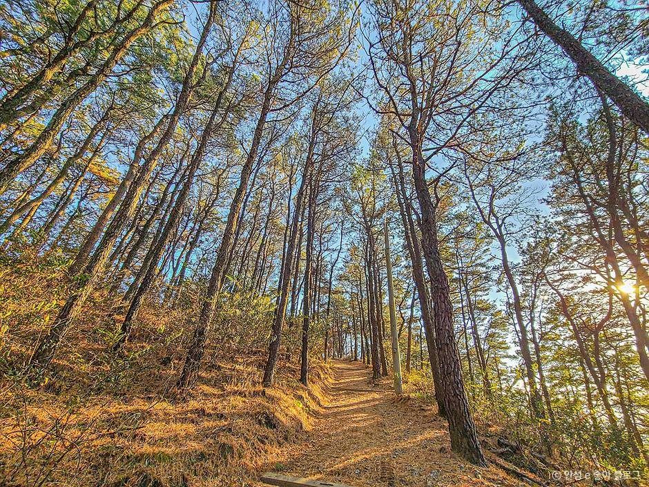 안성_비봉산 (7)