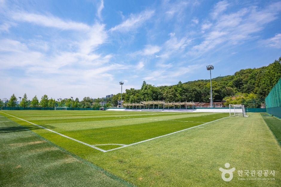 안양_비산체육공원 (6)