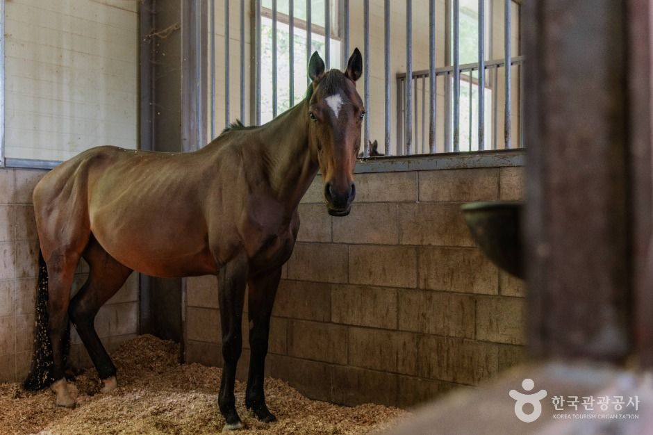 남양주_비스타밸리 (4)