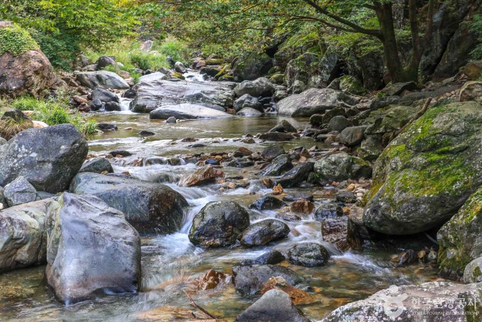 경기_양평_사나사 계곡 (3)