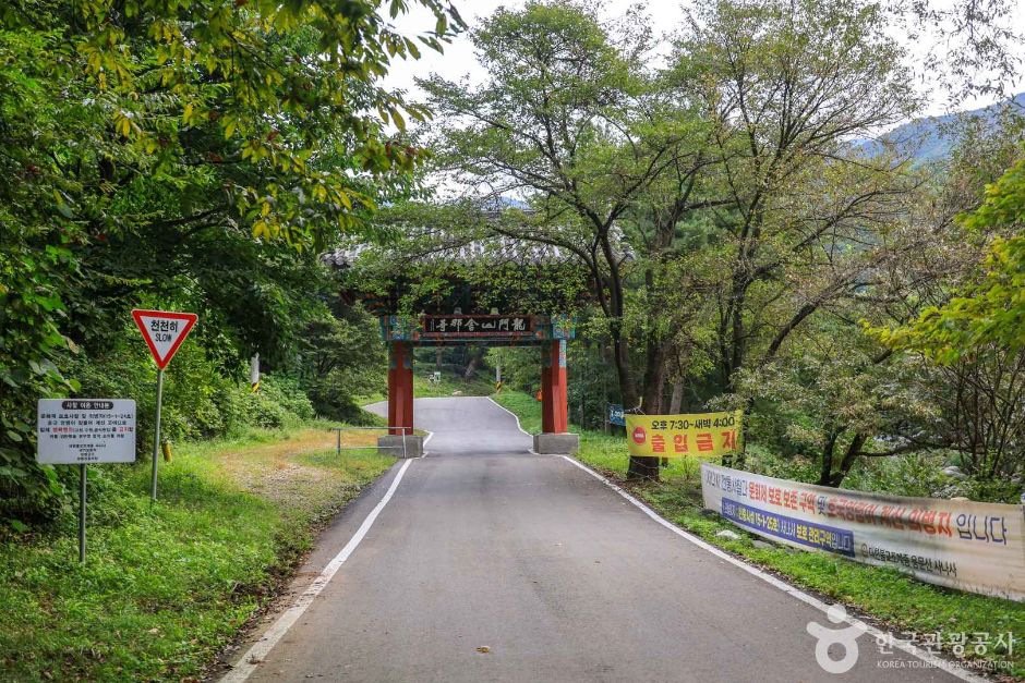 경기_양평_사나사 계곡 (4)