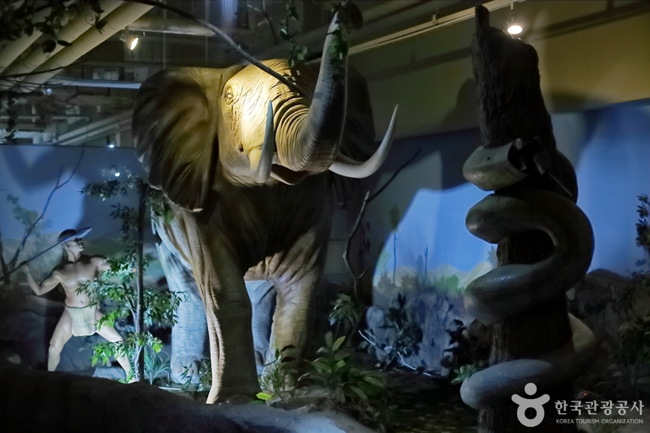 사파리 체험 테마파크 (3)