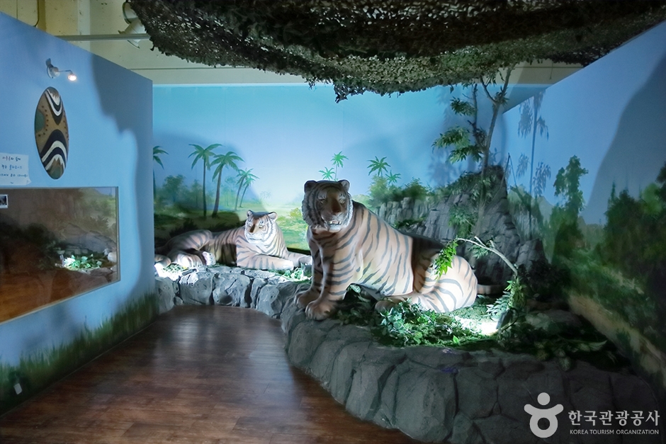 사파리 체험 테마파크 (6)