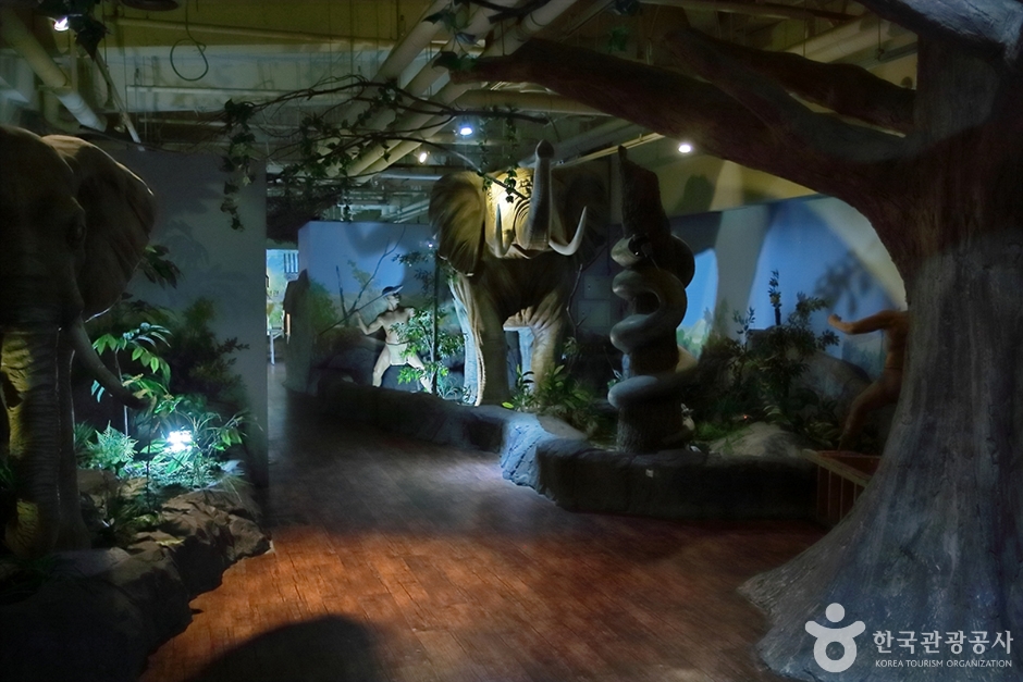 사파리 체험 테마파크 (8)