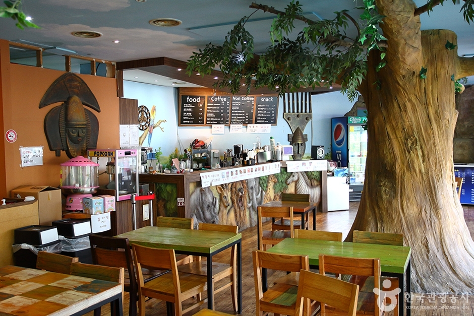 사파리체험테마파크