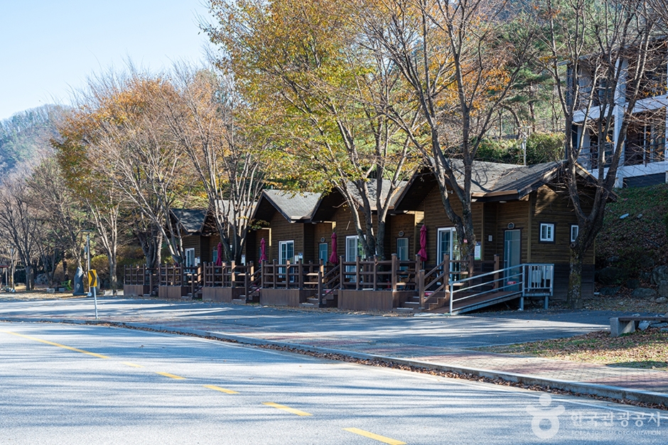 산장관광지 (2)