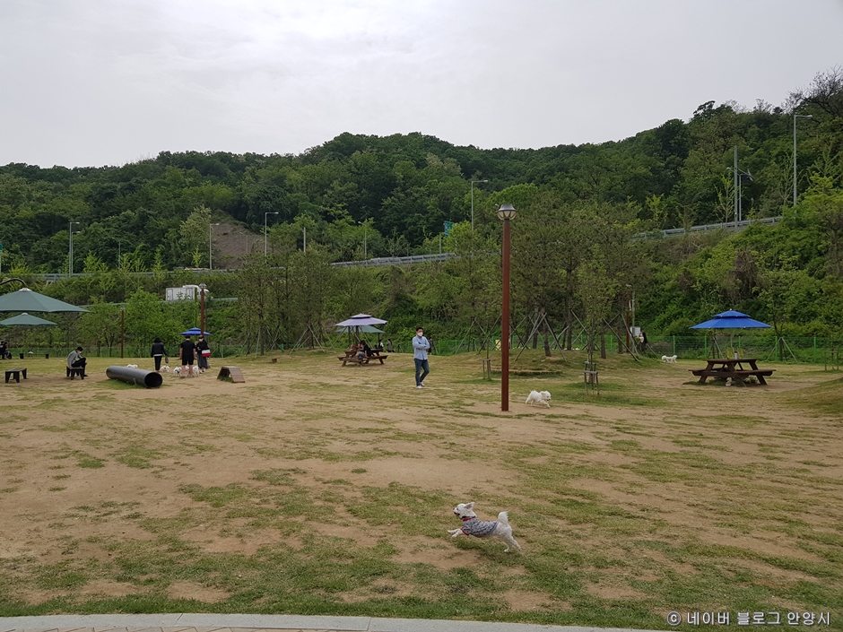 경기도_안양시_삼막애견공원_공원내부