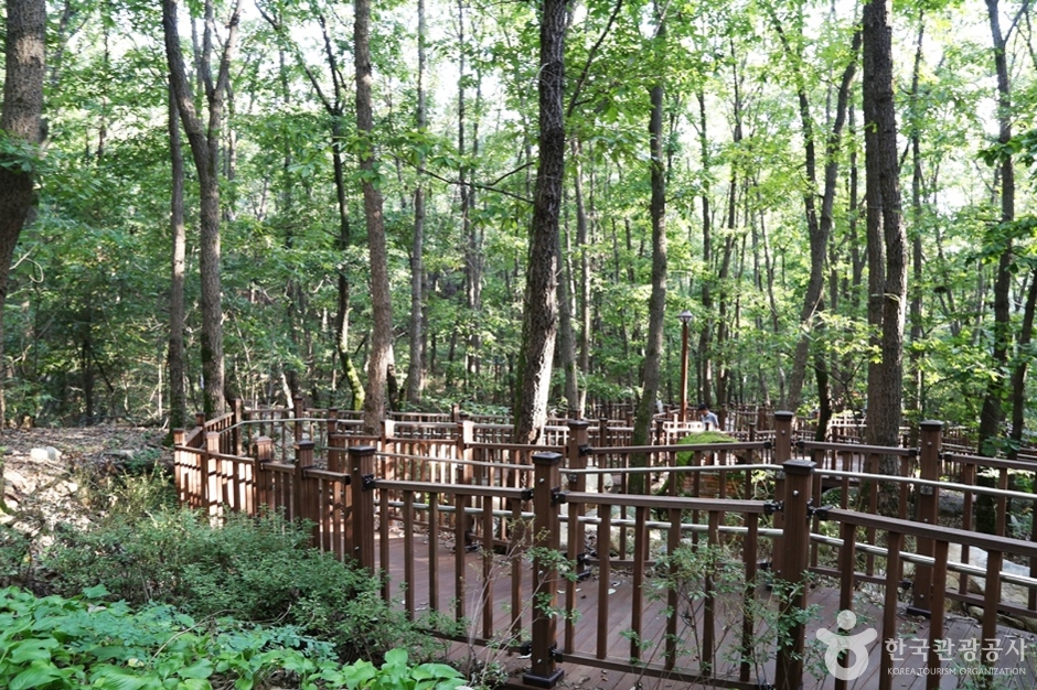 경기_안양_삼성산산림욕장 (16)