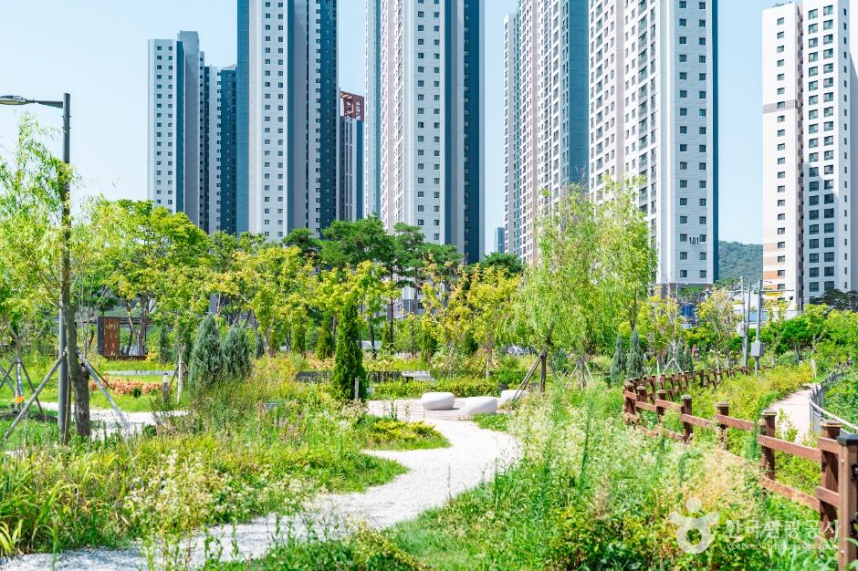 광명_새빛공원 (2)