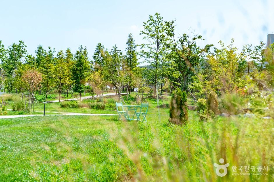 광명_새빛공원 (3)