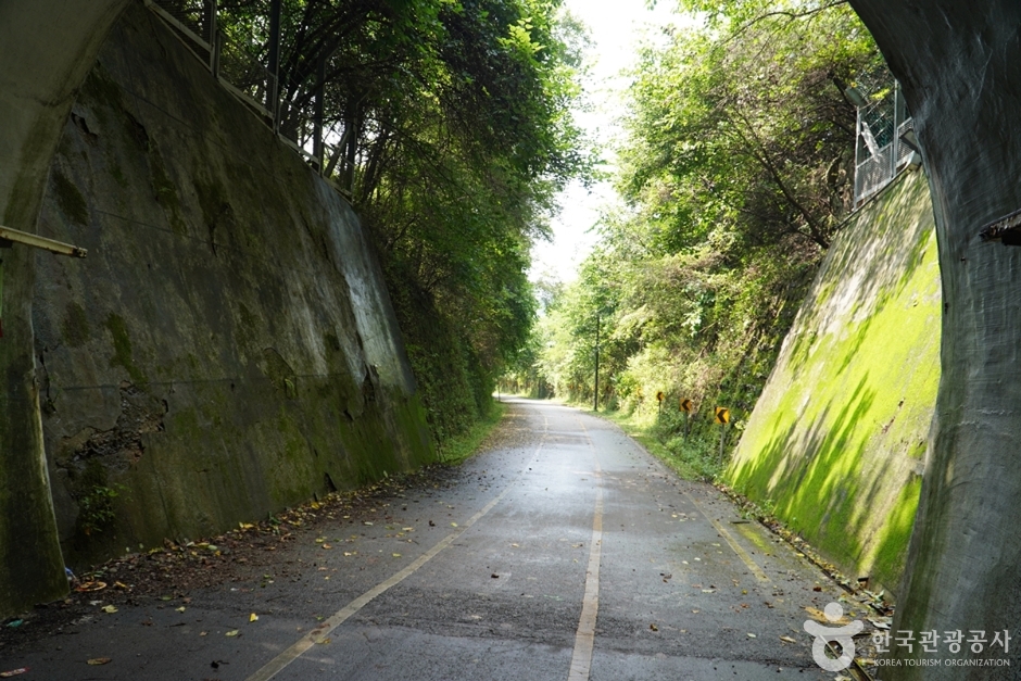 색현터널10