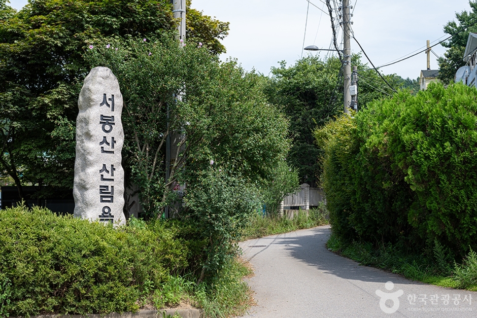 서봉산산림욕장