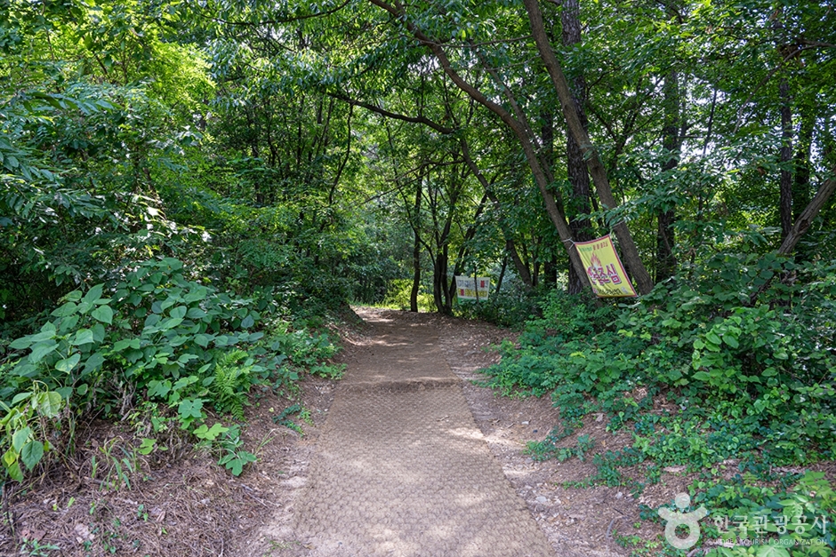 서봉산산림욕장 (5)