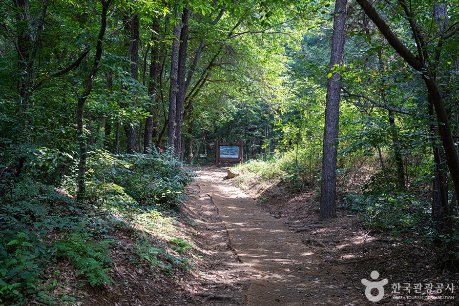 서봉산산림욕장 (7)