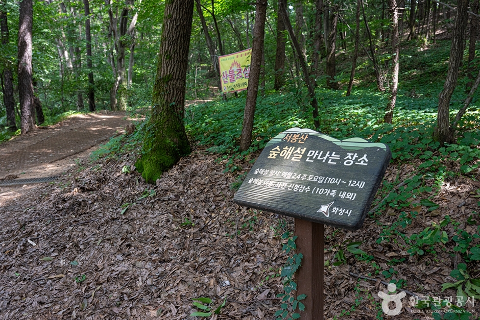 서봉산산림욕장 (10)