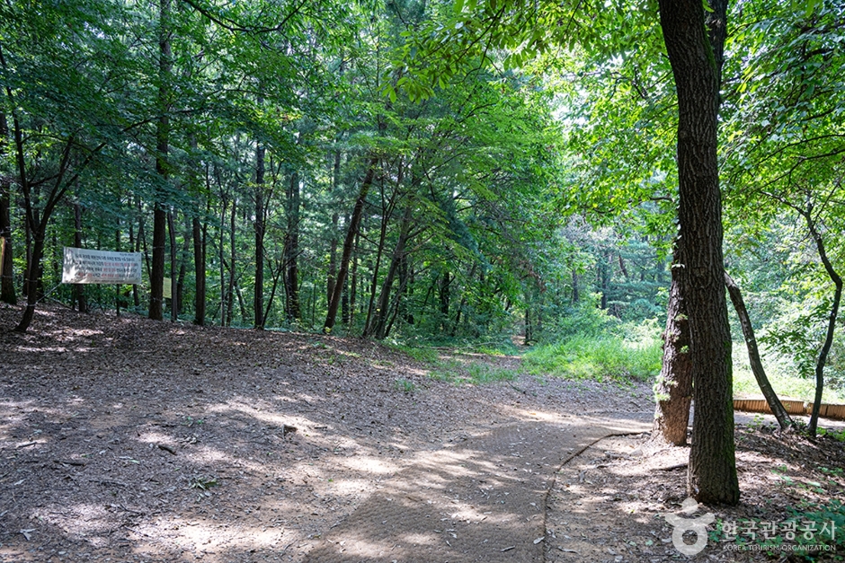 서봉산산림욕장 (12)