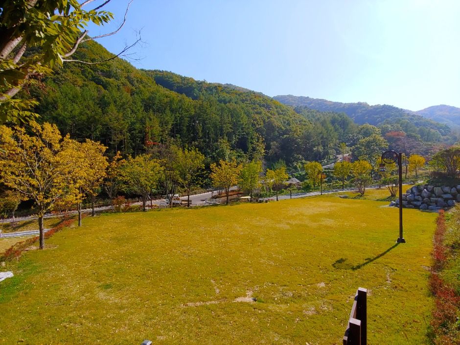 안성_서운산자연휴양림 (5)