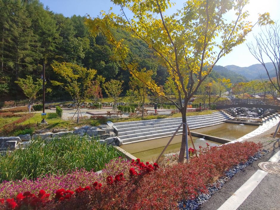 안성_서운산자연휴양림 (6)