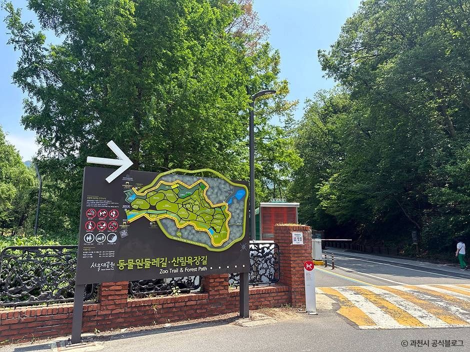 과천_서울대공원 산림욕장 (1)