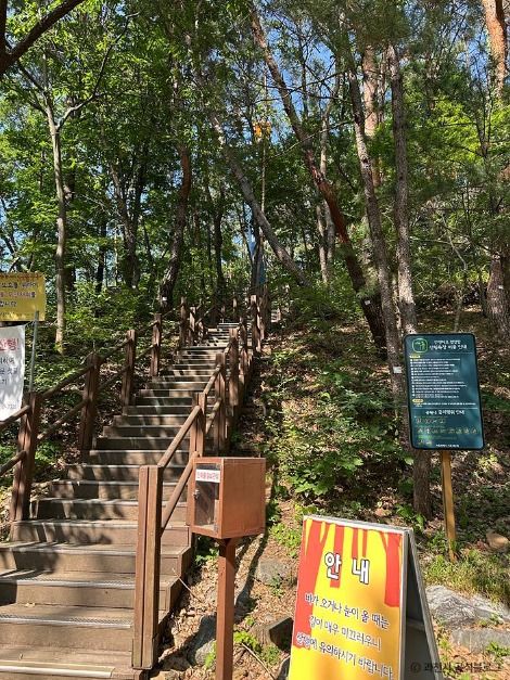 과천_서울대공원 산림욕장 (2)