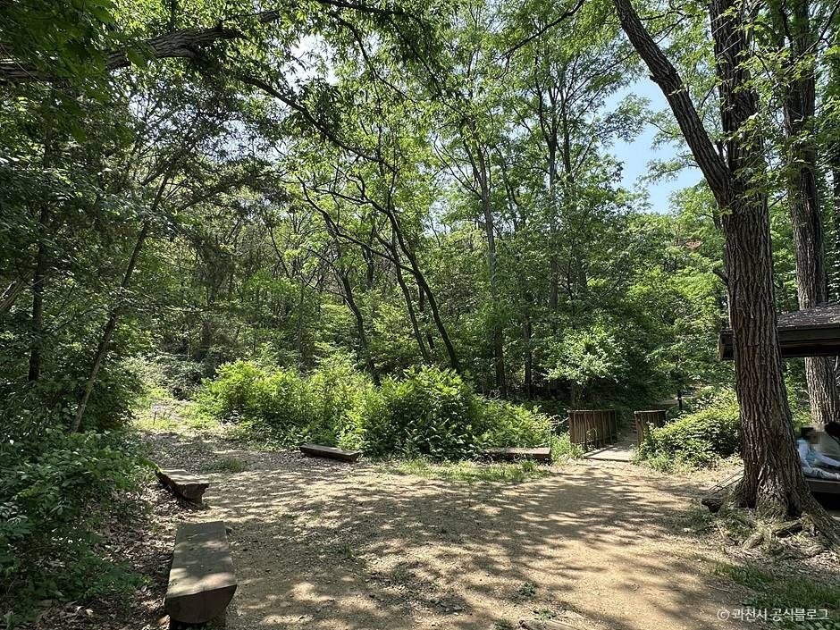 과천_서울대공원 산림욕장 (3)