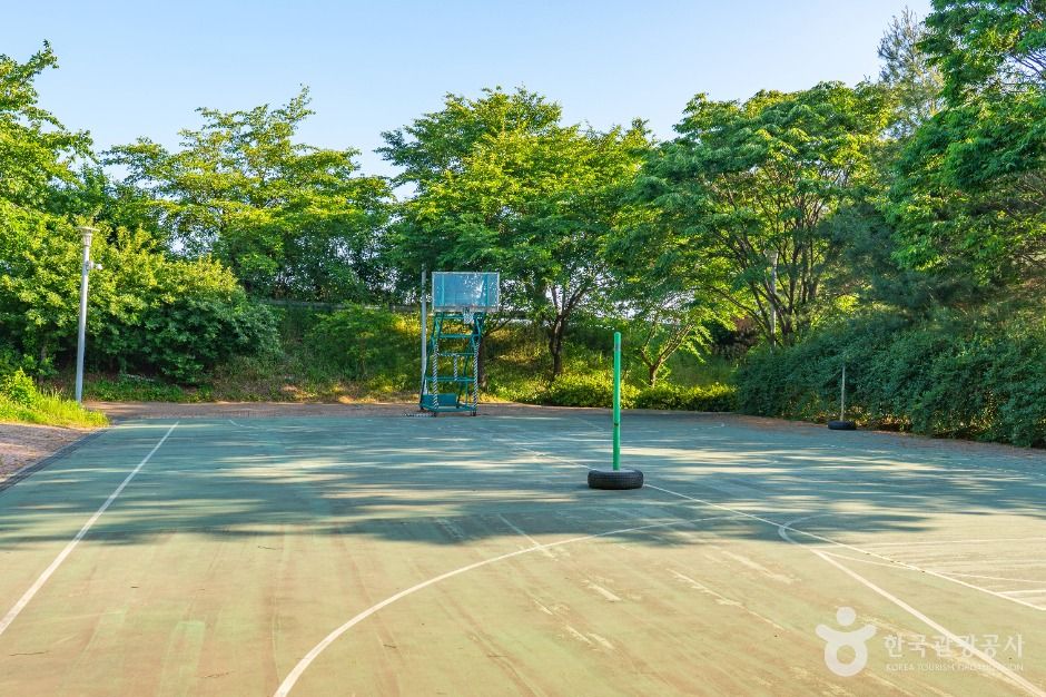 평택_금암체육공원 (3)