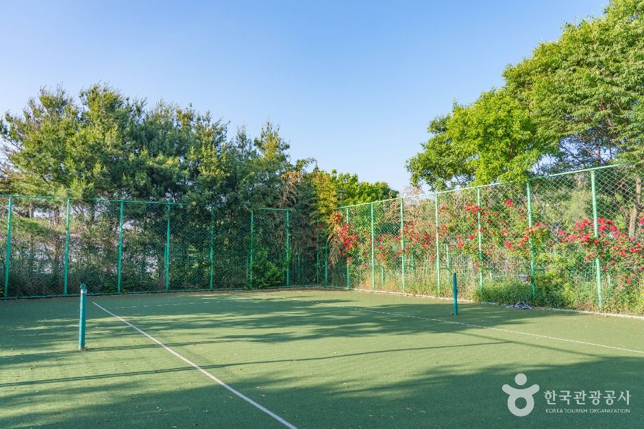 평택_금암체육공원 (4)