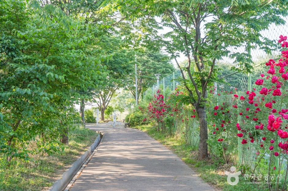 평택_금암체육공원 (5)