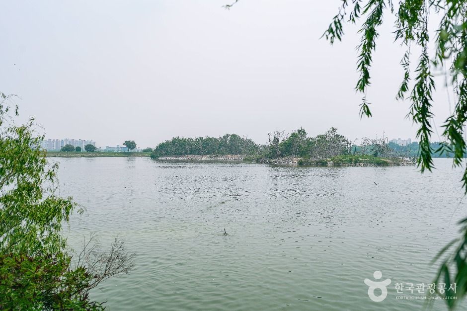 수원_서호공원 (2)