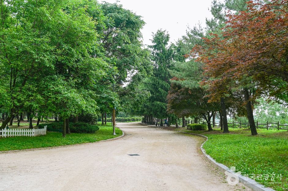 수원_서호공원 (3)