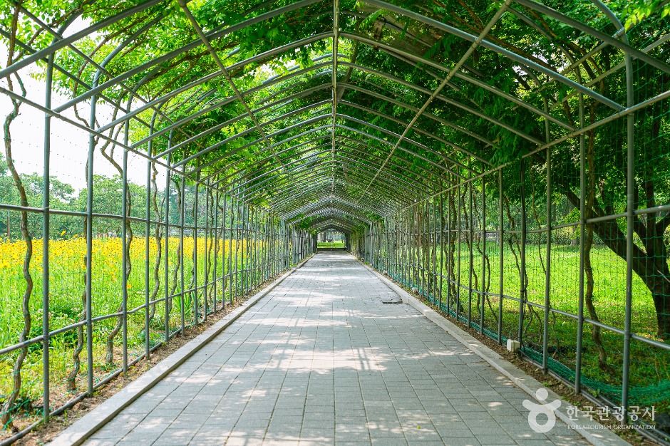 수원_서호공원 (4)